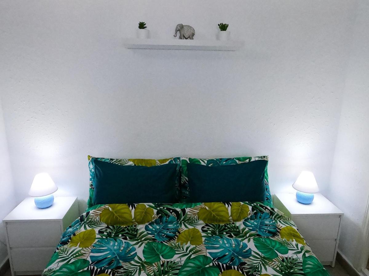 Los Europeos Apartment La Mata  Luaran gambar
